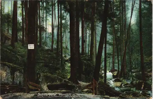 Ansichtskarte .Thüringen Schwarzafal. Werrasitz. 1908