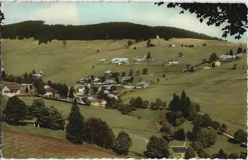 Ansichtskarte Todtnauberg Stadtpartie - color-Fotokarte 1965