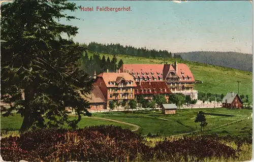 Ansichtskarte Titisee-Neustadt Feldberg und Hotel Feldbergerhof 1913