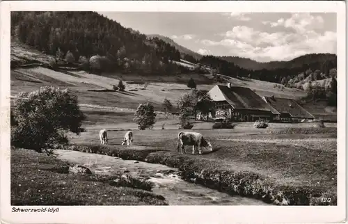 .Baden-Württemberg Schwarzwald (Mittelgebirge) Idylle mit Bauernhof 1960