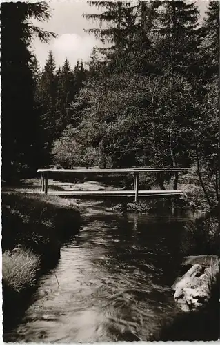 Ansichtskarte Bischofsgrün Partie im Maintal 1957