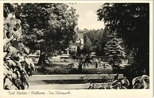 Ansichtskarte Bad Sachsa Kurpark Partie 1956