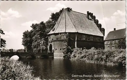 Ansichtskarte Castrop-Rauxel Schloss Bladenhorst 1960