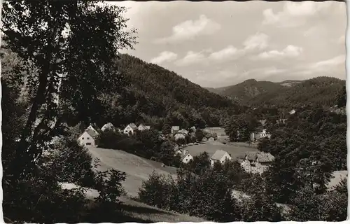 Goldmühl-Bad Berneck  Fichtelgebirge Ortsansicht Dorf  Fichtelgebirge 1960
