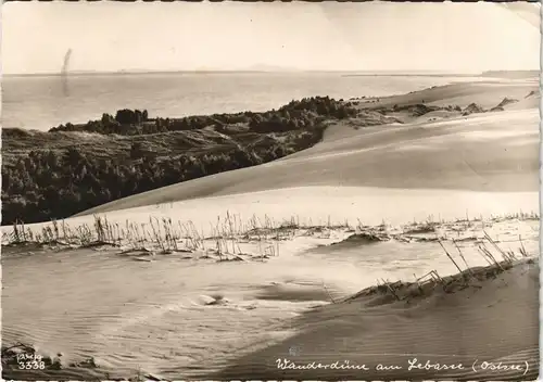 .Mecklenburg-Vorpommern Ostsee Allgemein Wanderdüne am Lebasee (Ostsee BRD) 1970