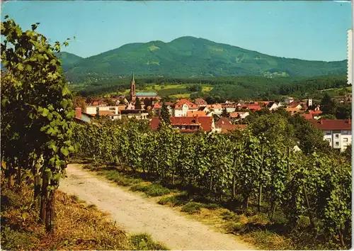 Ansichtskarte Müllheim (Baden) In den Weinbergen - Stadtblick 1982
