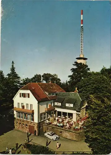 Ansichtskarte Heidelberg Königstuhl Partie am Berghotel 1967