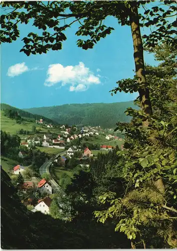 Ansichtskarte Warmensteinach Blick vom Höllfelsen Panorama-Ansicht 1970
