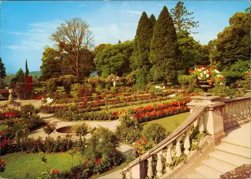Ansichtskarte Konstanz Insel Mainau - Rosengarten 1962