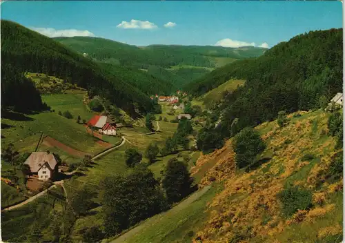 .Baden-Württemberg Nußbachtal im Schwarzwald (Mittelgebirge) 1974