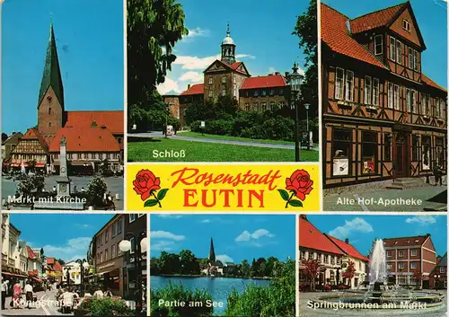 Ansichtskarte Eutin Mehrbildkarte der Rosenstadt, Stadtteilansichten 1990