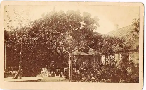 Westerland Sylt Hinterhof, Häuser - Stühle um Baum CDV 1891 Kabinettfoto
