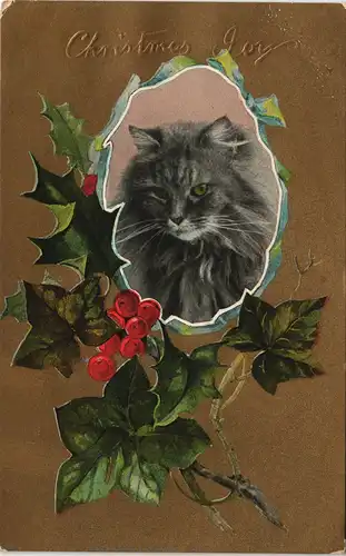 "Katzen-Porträt" Katze Cat, Souvenir Post Card Christmas Joy 1908 Gold-Effekt