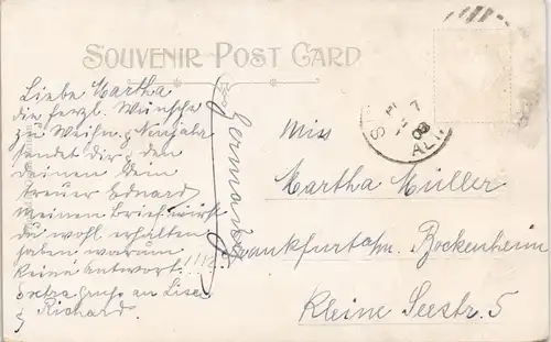 "Katzen-Porträt" Katze Cat, Souvenir Post Card Christmas Joy 1908 Gold-Effekt