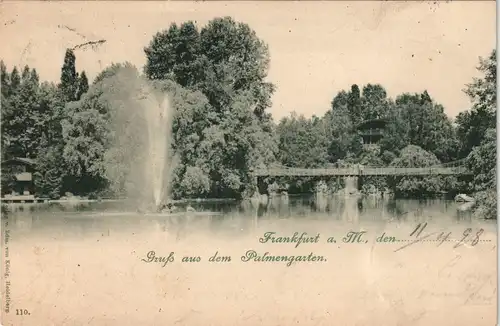 Ansichtskarte Frankfurt am Main Palmengarten. Haus Hängebrücke 1898