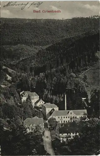 Ansichtskarte Bad Peterstal-Griesbach Blick auf die Fabrik 1910
