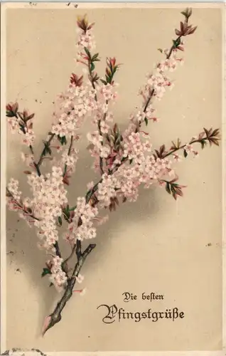 Ansichtskarte  Glückwunsch: Pfingsten, Zweig mit Blüten 1916