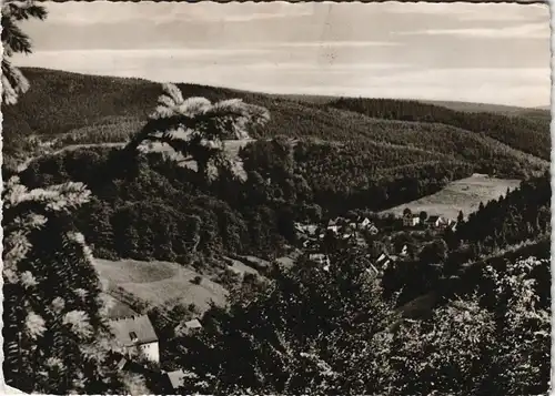 Ansichtskarte Bad Grund (Harz) Panorama-Ansicht Blick vom Hübichenstein 1969
