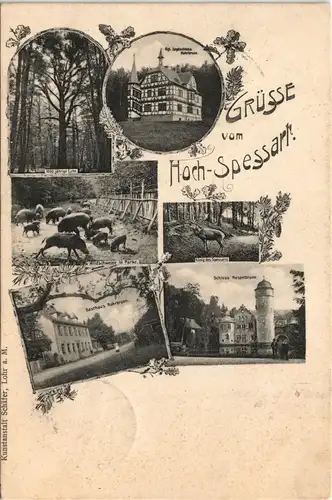 Rohrbrunn-Weibersbrunn MB Spessart, Jagdschloß, Gaststätte, Wildscheine 1903