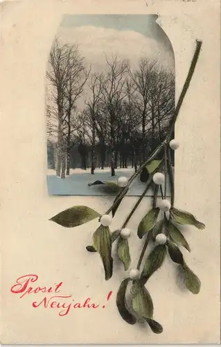 Neujahr/Sylvester Winterlandschaft davor Mistelzweig 1907 Passepartout