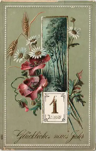Neujahr/Sylvester Prägekarte Mohnblumen Ähre Landschaft, Jugendstil 1909 Gold