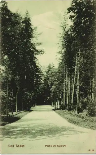Ansichtskarte Bad Soden (Taunus) Weg im Kurpark 1913