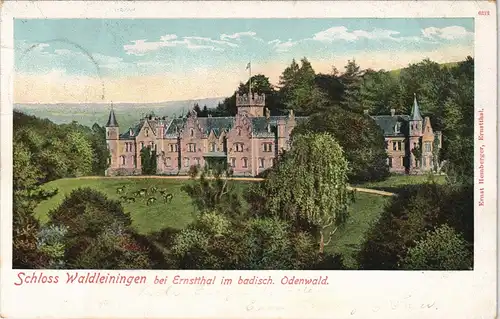 Mörschenhardt-Mudau Schloss Waldleiningen   1903  F.-BOCKENHEIM Ankunftsstempel