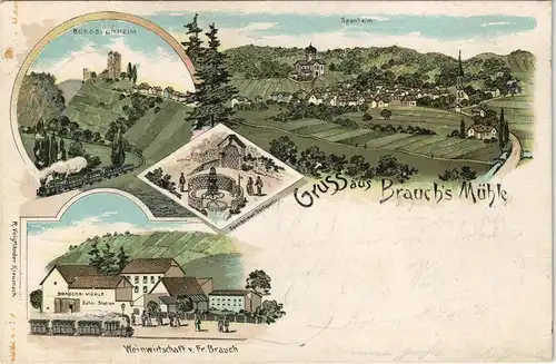Litho AK Sponheim Gruss aus Brauch`s Mühle, Bahn-Station, Burg MB 1898