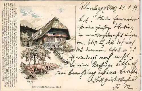 Ansichtskarte .Baden-Württemberg Schwarzwaldhaus (ohne Ortsangaben) 1899