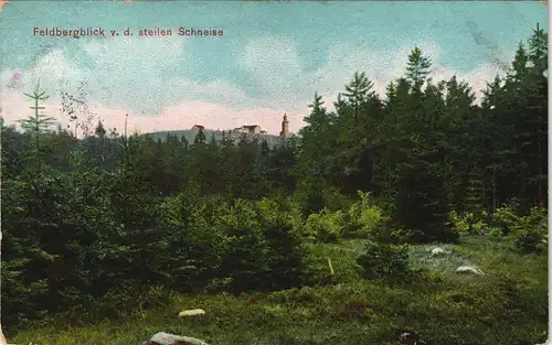 Schmitten (Hochtaunus) Feldbergblick von der steilen Schneise 1914