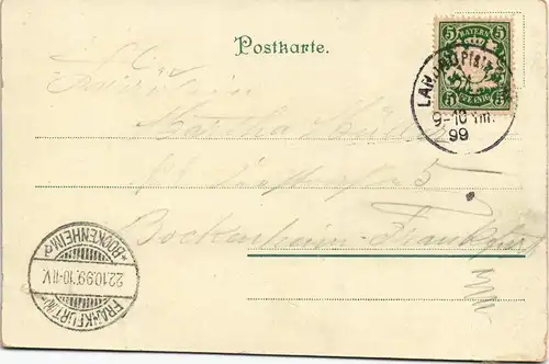 Litho AK Rüdesheim (Rhein) Nationaldenkmal, Stadt, Schweizerhaus 1899