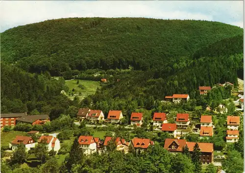 Bad Grund (Harz) Panorama-Ansicht Blick auf Wohnhaus-Siedlung 1970