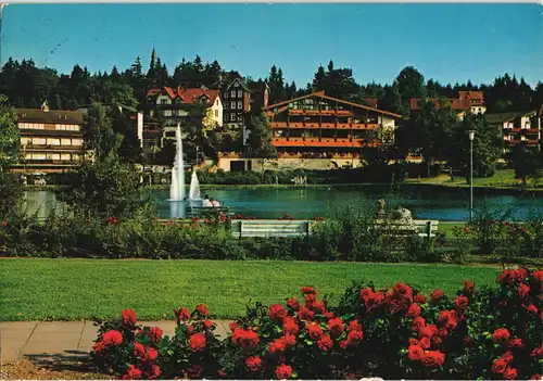 Hahnenklee-Bockswiese-Goslar Kurpark mit Blick auf Kurparksee und Seerose 1986