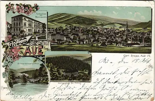 Ansichtskarte Aue (Erzgebirge) Faschshule, Straße, Heilanstalt 1899