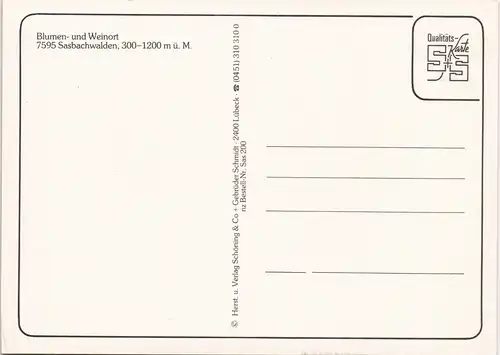 Ansichtskarte Sasbachwalden Straßenansichten, Fachwerkhäuser MB 1991