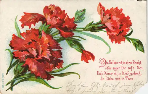 Ansichtskarte  Künstlerkarte - Nelken 1908