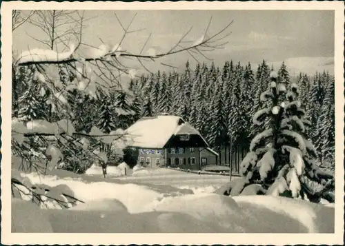 Ansichtskarte Hinterzarten Haus Schwörer im Wiesengrund Winter 1958