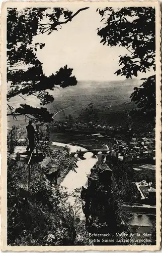 Echternach Panorama-AK Vallée Petite Suisse Luxembourgeoise 1950