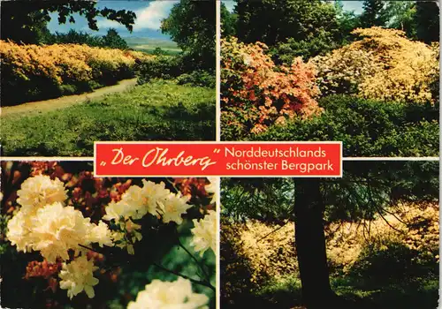 Ohr bei Hameln  Ohrberg Norddeutschlands schönster Bergpark, Mehrbild-AK 1977