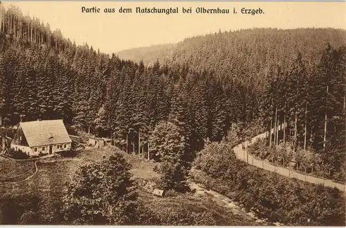 Postcard Natschung-Kallich Načetín Kalek Natschungtal - Hütten 1914