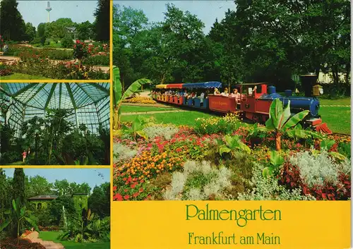 Ansichtskarte Frankfurt am Main Palmengarten mit Gartenbahn 1990