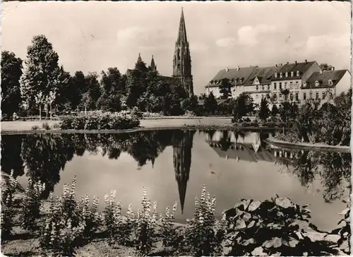 Ansichtskarte Freiburg im Breisgau Stadtgarten und Münster 1956