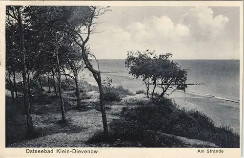 Berg Dievenow Dziwnów Steilhang - Bäume, Strand gel. Stempel Klein Dievenow 1930