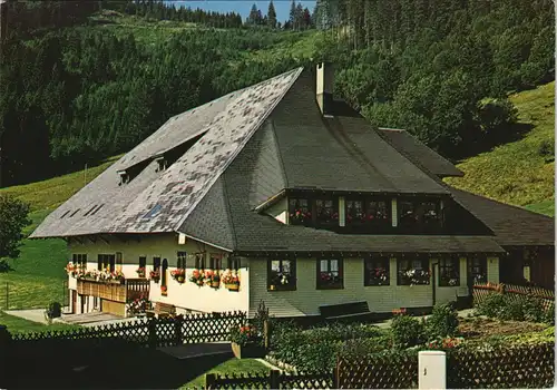 Ansichtskarte Muggenbrunn-Todtnau Pension Schwarzwaldhaus Hohfelsstrasse 1990