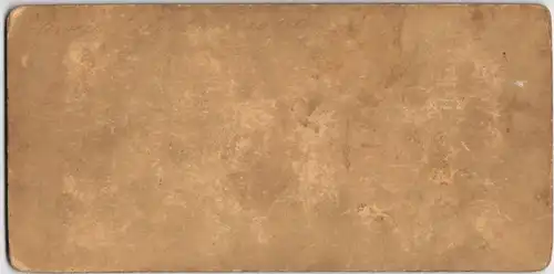 Chamonix-Mont-Blanc Mont Maudit. CDV Kabinettfoto 1881 3D/Stereoskopie