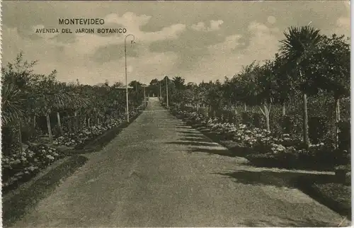Postcard Montevideo AVENIDA DEL JARDIN BOTANICO 1922
