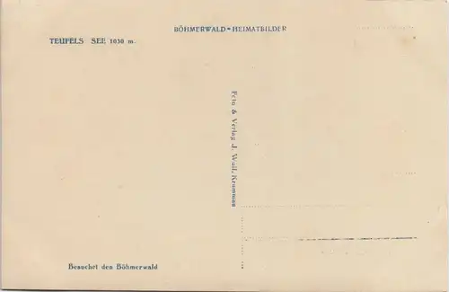 Postcard Markt Eisenstein Železná Ruda Partie am Teufelssee 1930