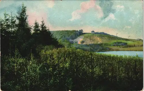 Ansichtskarte Plön Holsteinische Schweiz Region Timmdorf Waldgebiet 1910