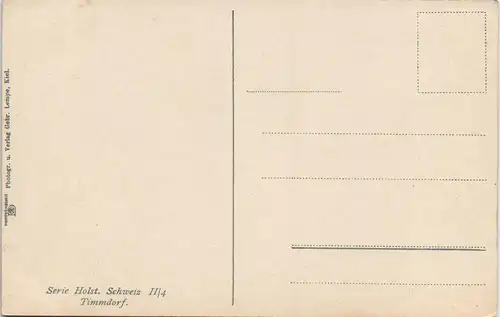 Ansichtskarte Plön Holsteinische Schweiz Region Timmdorf Waldgebiet 1910