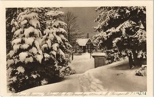 Ansichtskarte Braunlage Hotel-Pension Waldmühle im Winter 1926